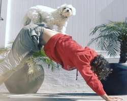 He also has a cute dog in his family. The dog accompanies him whatever he does in his home.